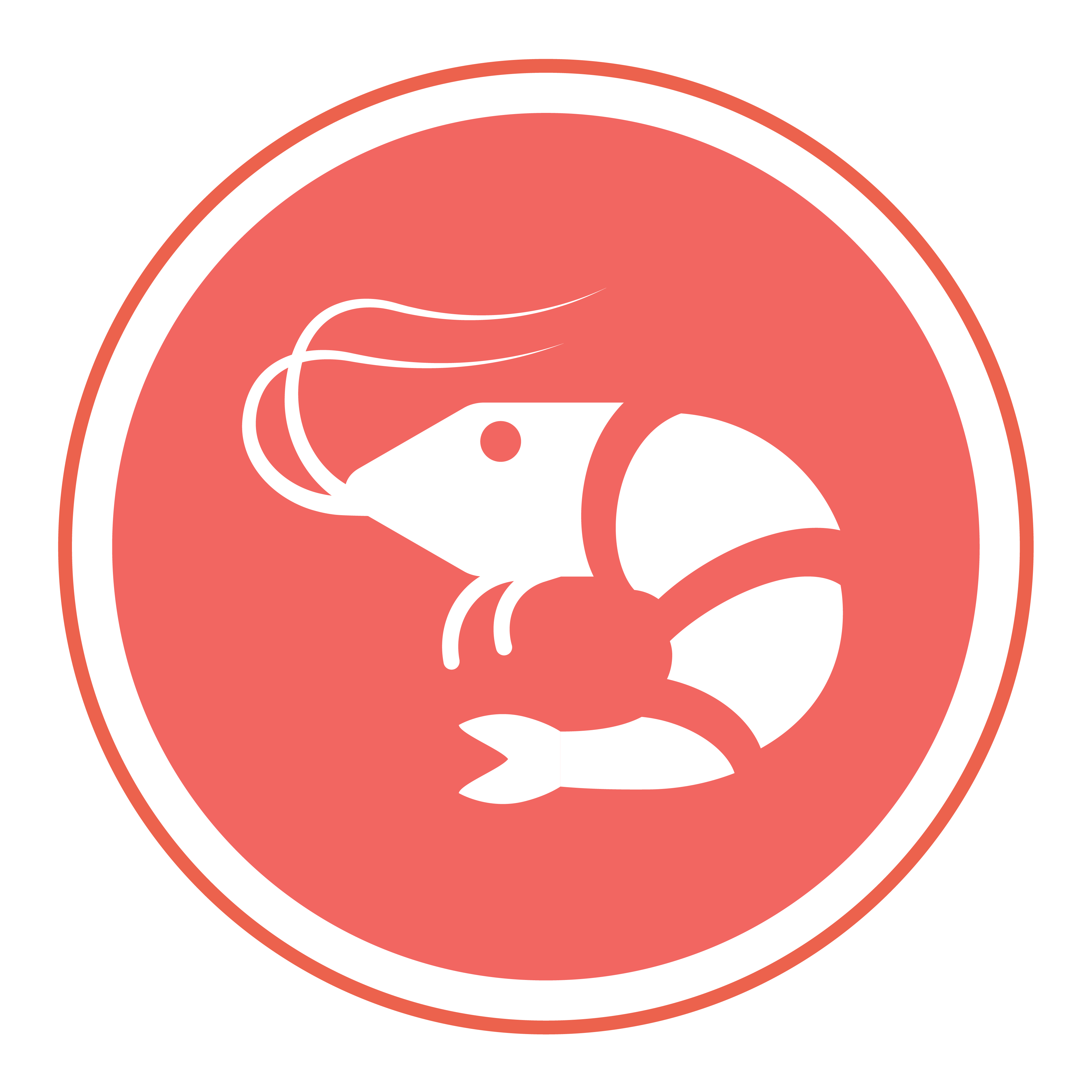 Ракообразни и продукти от тях