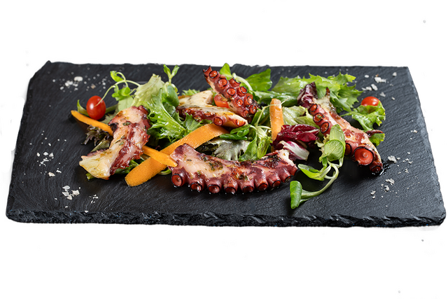 ОКТОПОД НА ПЛОЧА